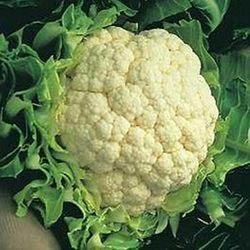 Fresh Cauliflower